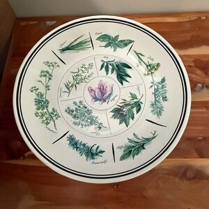 Williams-Sonoma 13” White Ceramic serving bowl with painted culinary herbs GUC